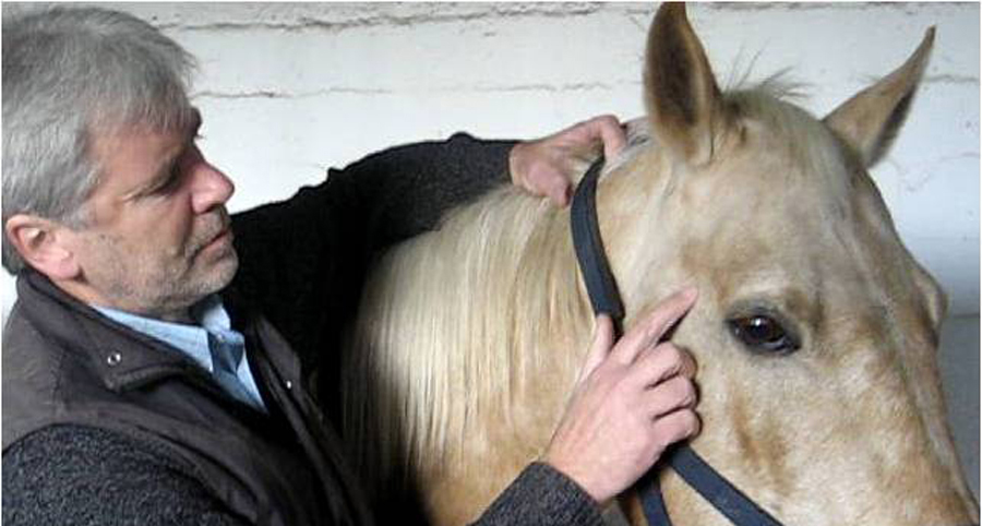 rencontres cheval